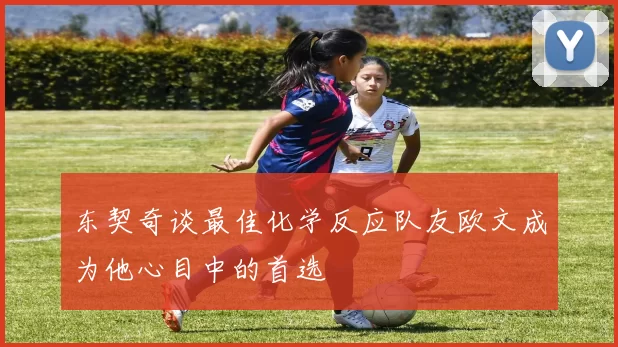 东契奇谈最佳化学反应队友欧文成为他心目中的首选